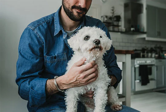 Man sitter i sitt kök med hund i knät