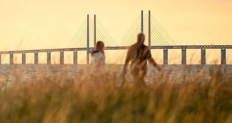 Par promenerar vid Öresund